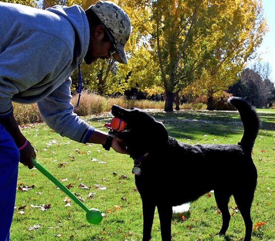 are dogs allowed at art in the park boise