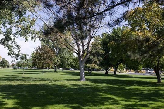 Owyhee Park | City of Boise