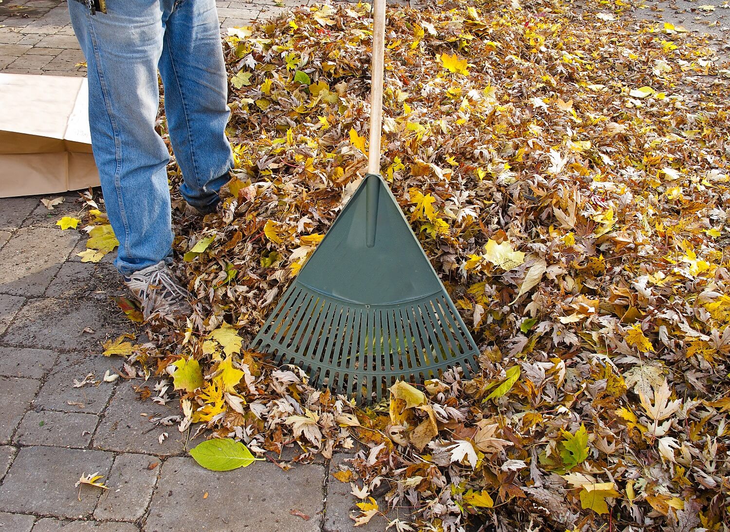 Boise's curbside compost program will pick up your leaves