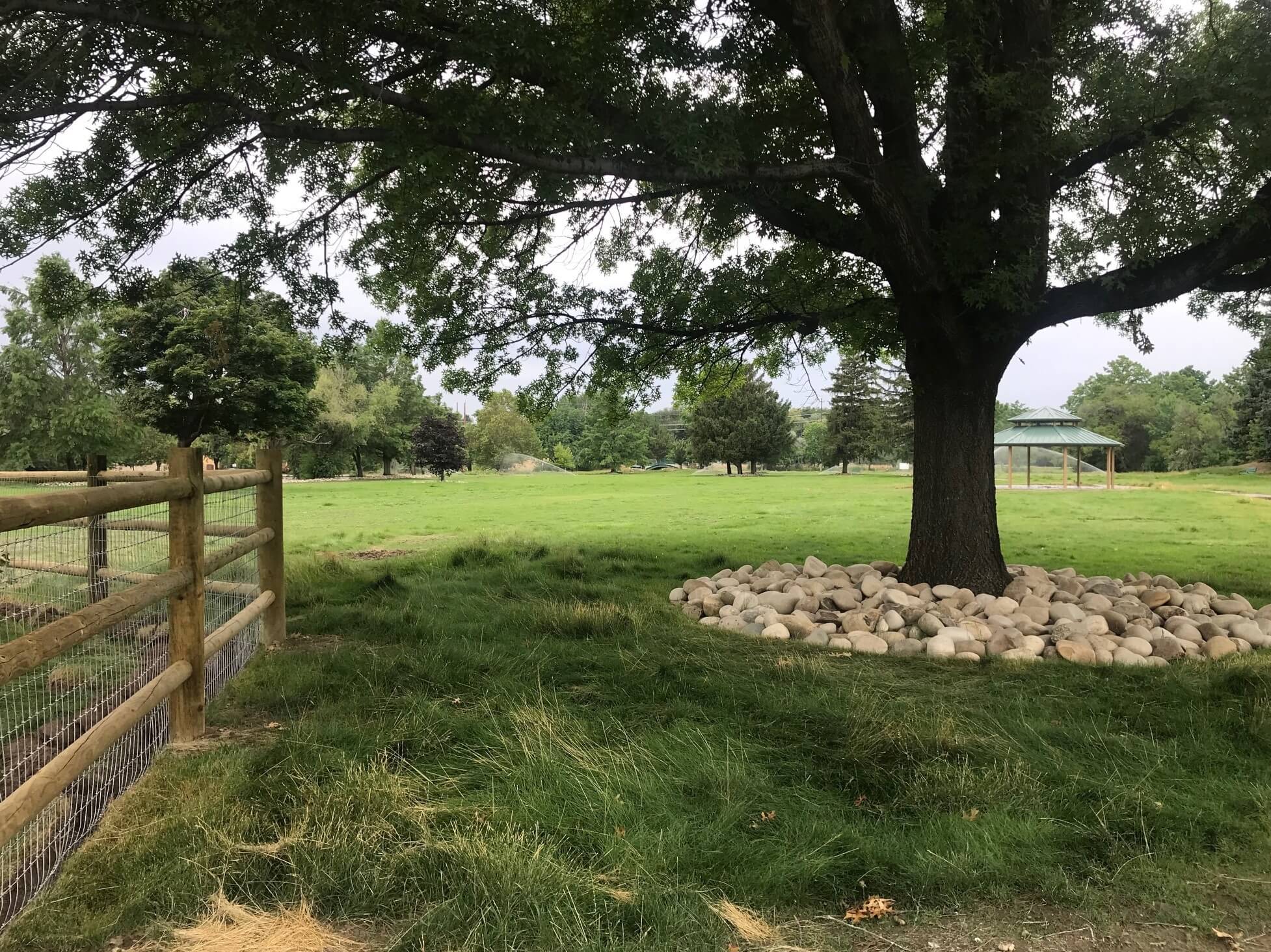 Together Treasure Valley Dog Island at Ann Morrison Park Now Open